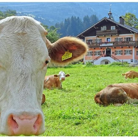 Alpinresort Derbacherhof Niedernsill Exteriér fotografie