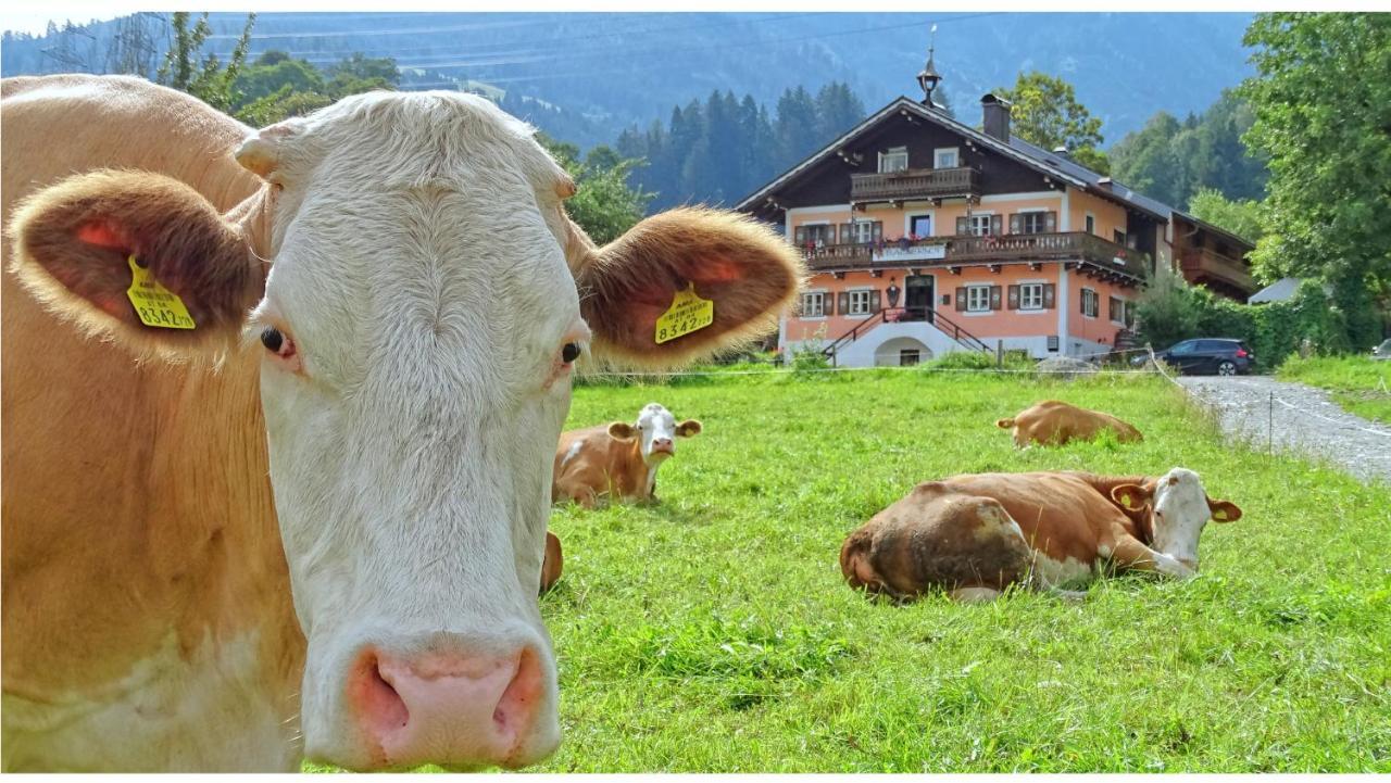 Alpinresort Derbacherhof Niedernsill Exteriér fotografie